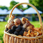 Degustari Produse BIO