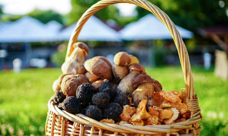 Degustari Produse BIO