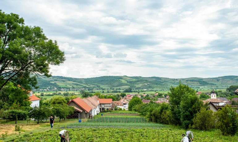 Degustari Produse BIO