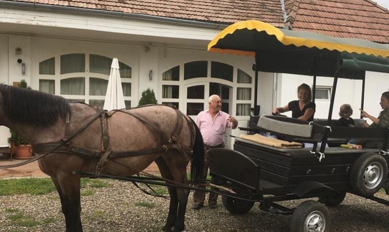 Cursa cu trasura de cai