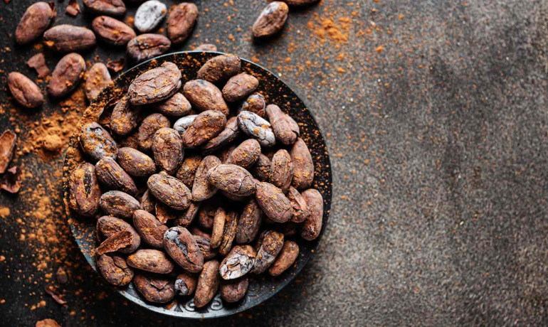 Workshop Kokowa Chocolate