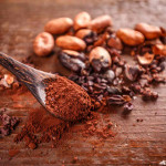 Workshop Kokowa Chocolate