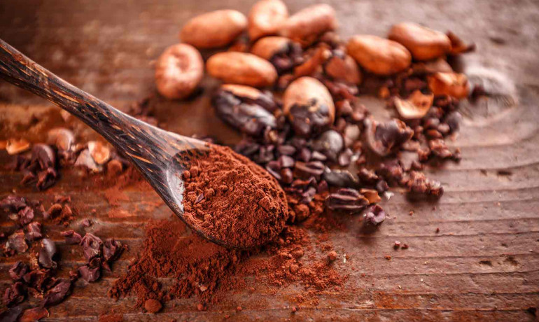 Workshop Kokowa Chocolate